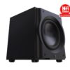 Perlisten R10s