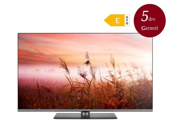 Panasonic TV-43W83AE6