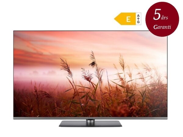 Panasonic TV-50W83AE6