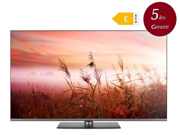 Panasonic TV-55W83AE6