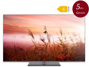 Panasonic TV-65W83AE6