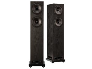 Fyne Audio F501E