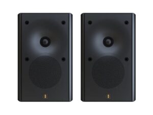Perlisten X2W